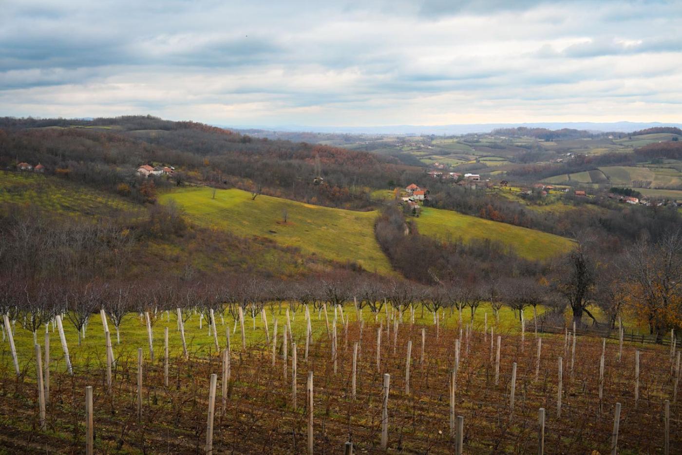 Vinarija Djurdjevica Legat Bed & Breakfast Mionica Exterior photo